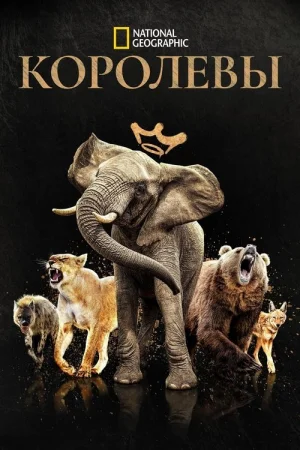 Королевы 1 сезон