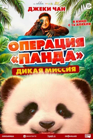 Операция «Панда». Дикая миссия 